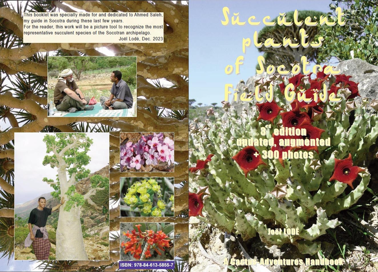 Socotra Handbook